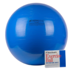 thera-band-exercise-ball-76-2-cm-blue-power-playco